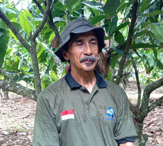 Patani Kakao dari Desa Candi Kusuma Raih Sukses Bersama Koperasi Kakao Kerta Semaya Samaniya
